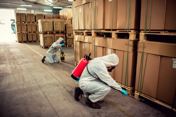 Best Affordable Pest Control Services  in Chetek, WI