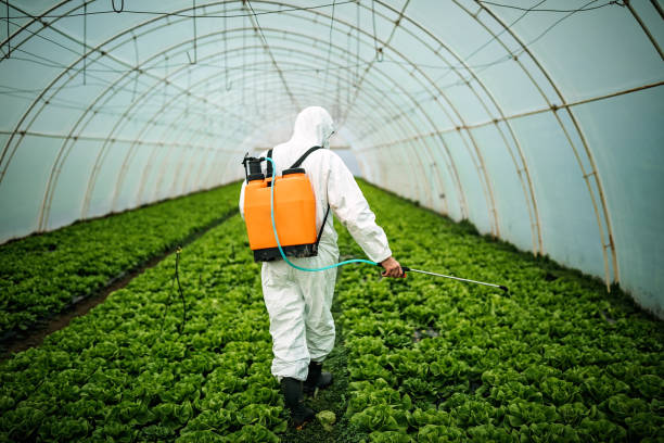 Best Pest Control Near Me  in Chetek, WI