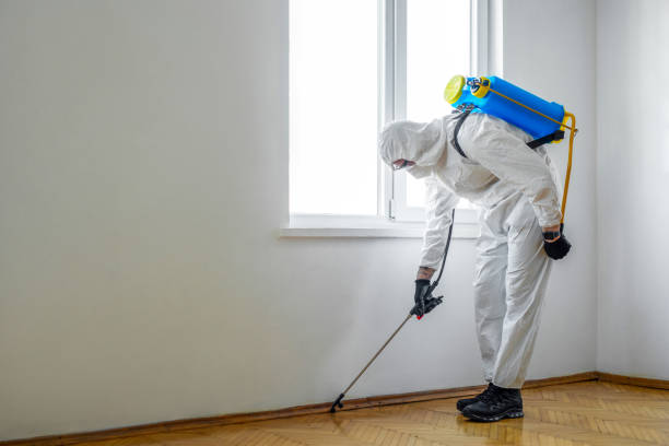 Best Bed Bug Extermination  in Chetek, WI