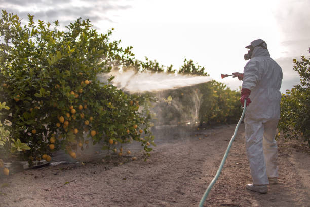 Best Pest Removal Services  in Chetek, WI