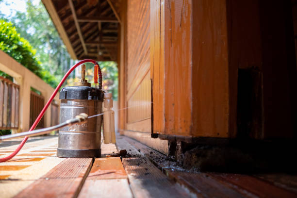 Best Exterminator Services  in Chetek, WI