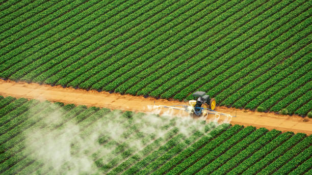 Best Commercial Pest Control Services  in Chetek, WI