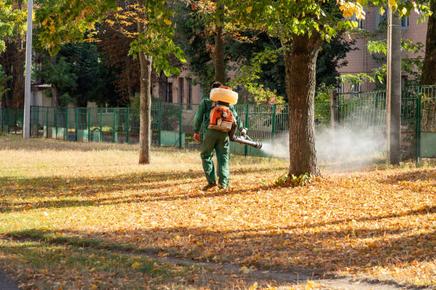 Best Cockroach Control Services  in Chetek, WI