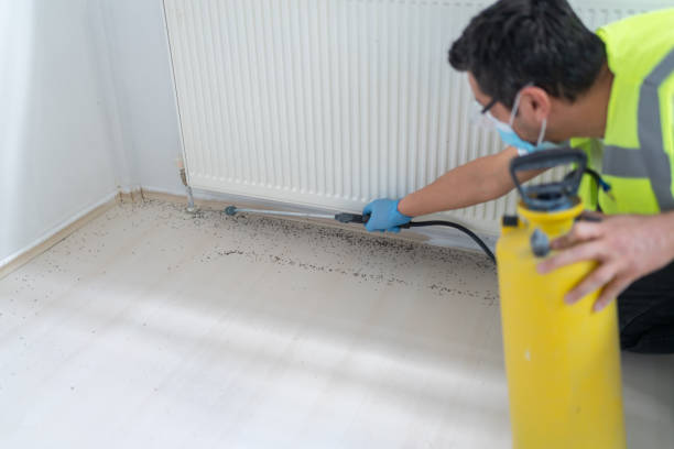 Best Best Pest Control Companies  in Chetek, WI