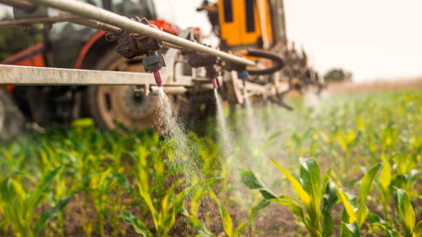 Best Local Pest Control Services  in Chetek, WI
